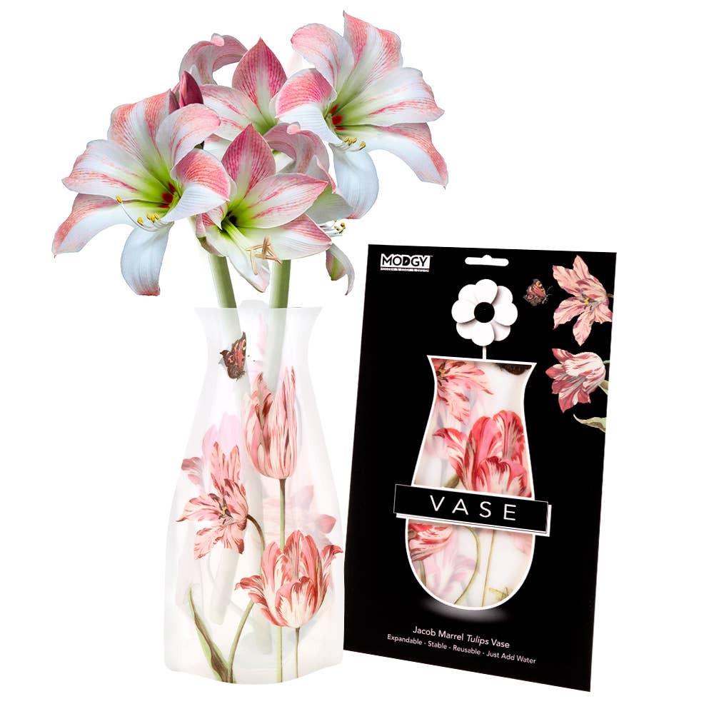 Modgy Expandable Vase - Jacob Marrell Tulips