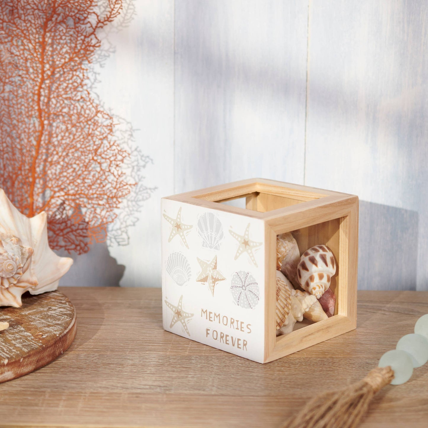 Beach Treasures Shell Holder