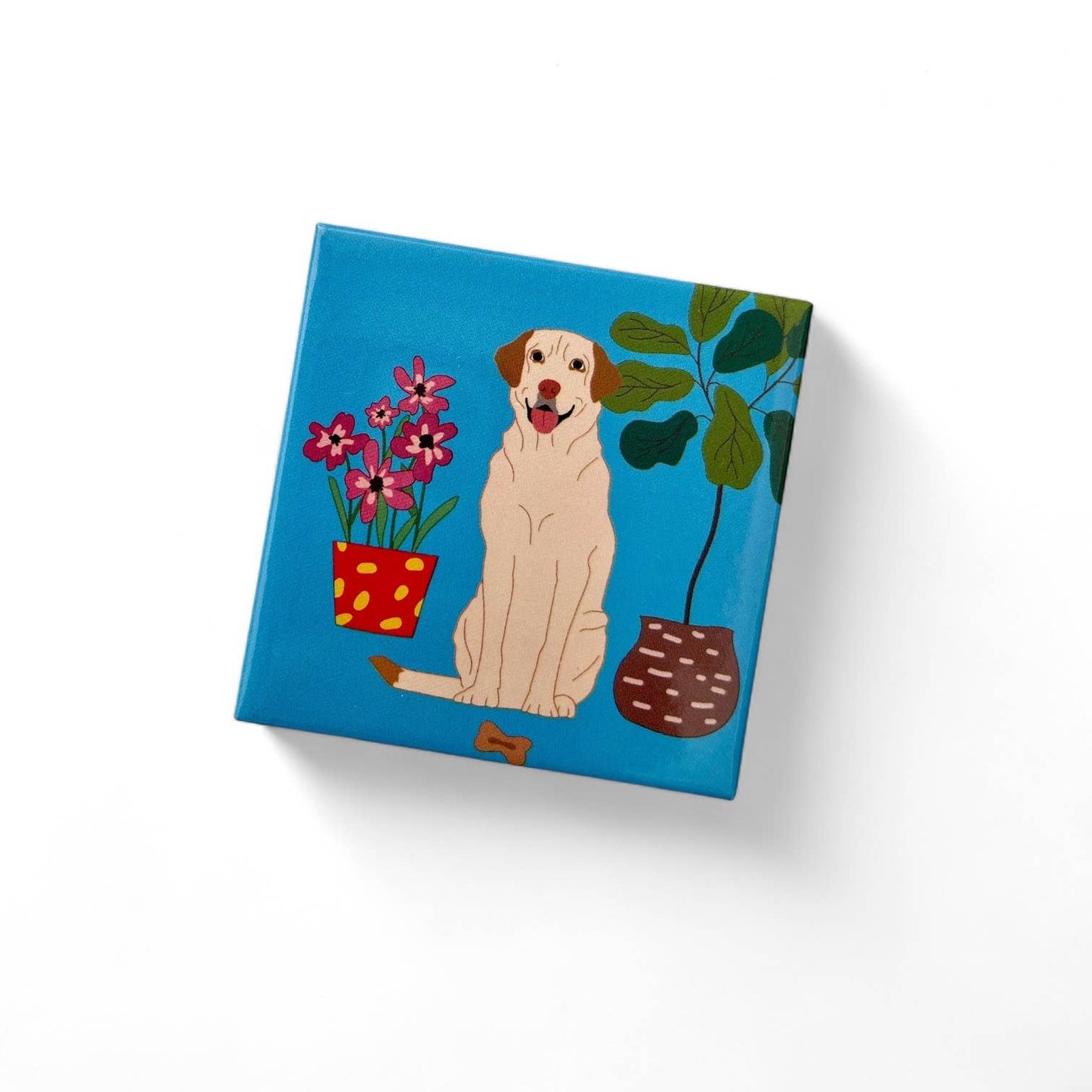 Assortment of 12 Puppy Dog Metal Tin Magnets