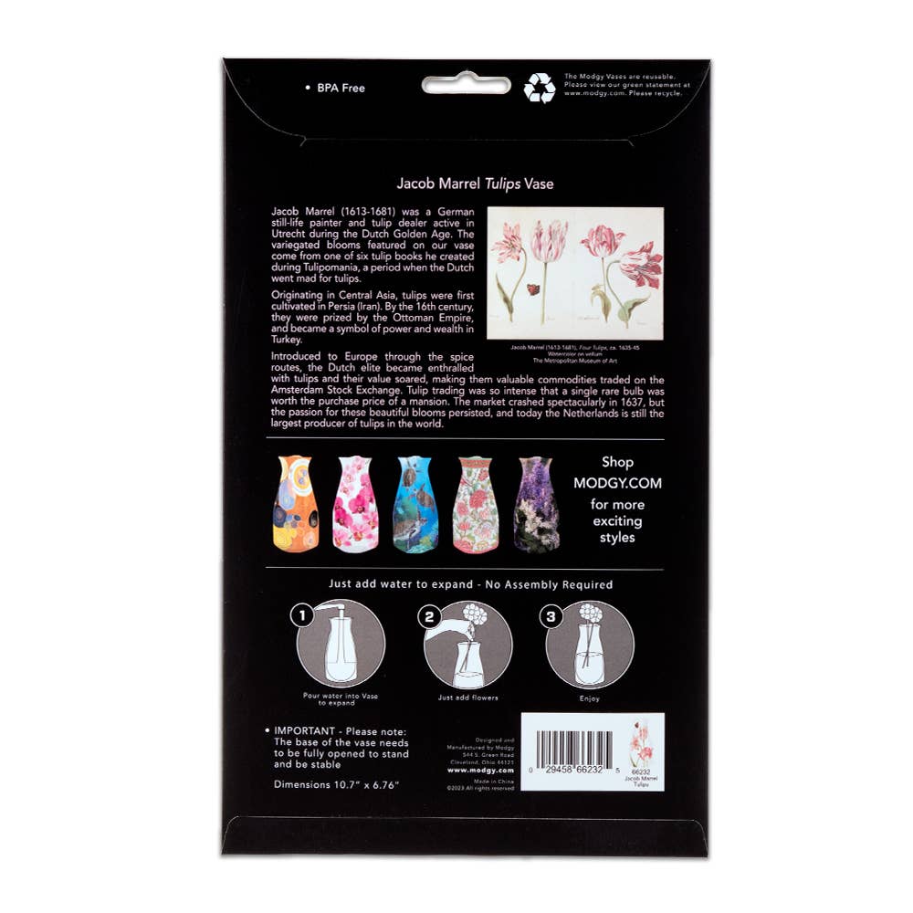 Modgy Expandable Vase - Jacob Marrell Tulips