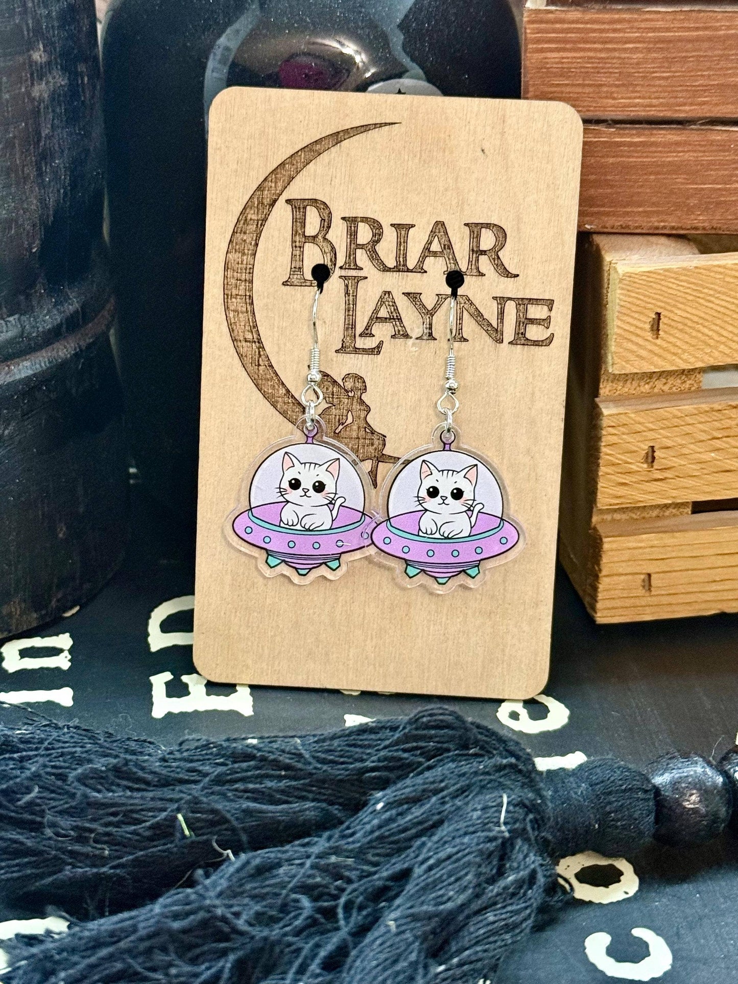 Space Cat and Spaceship Earrings for Booklovers