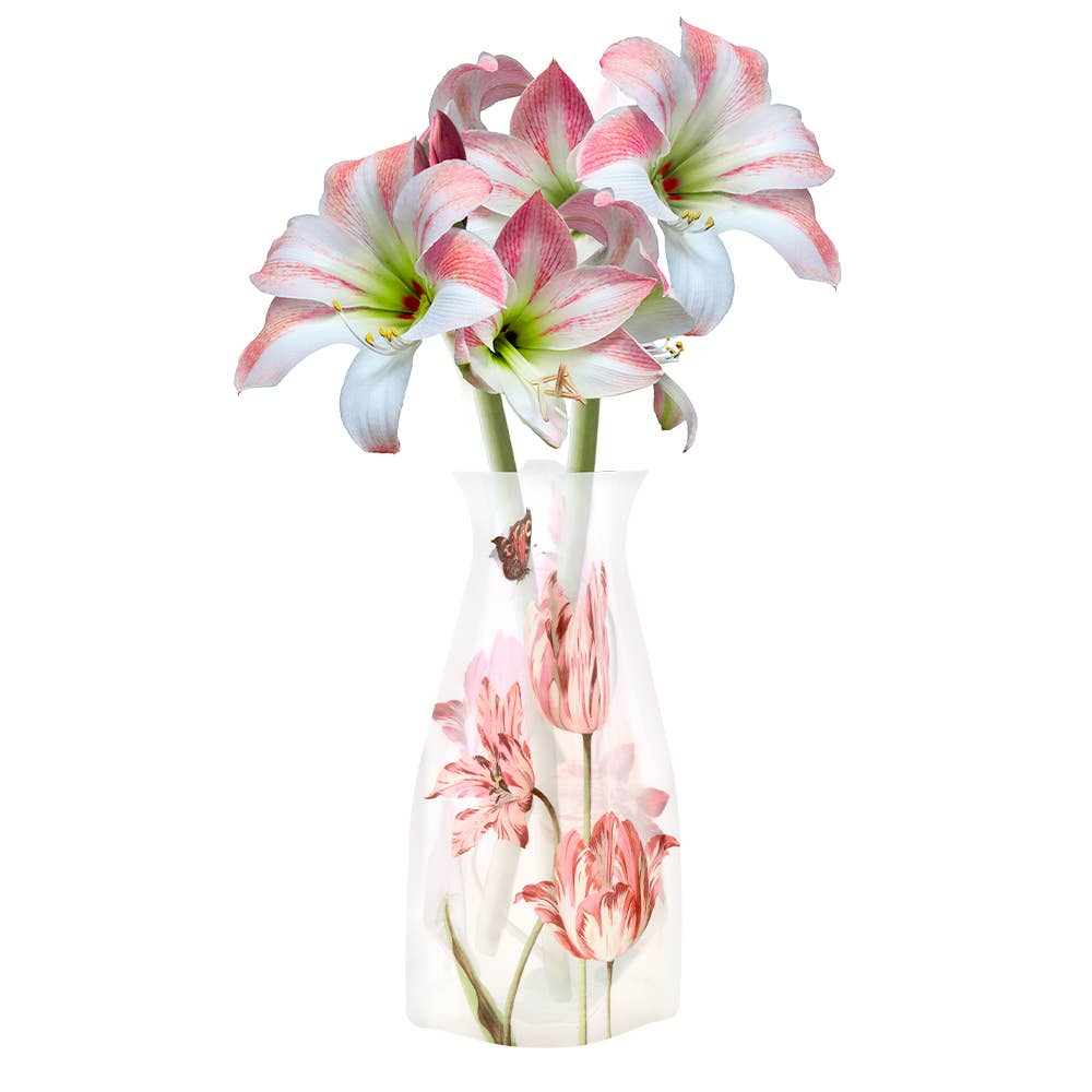 Modgy Expandable Vase - Jacob Marrell Tulips