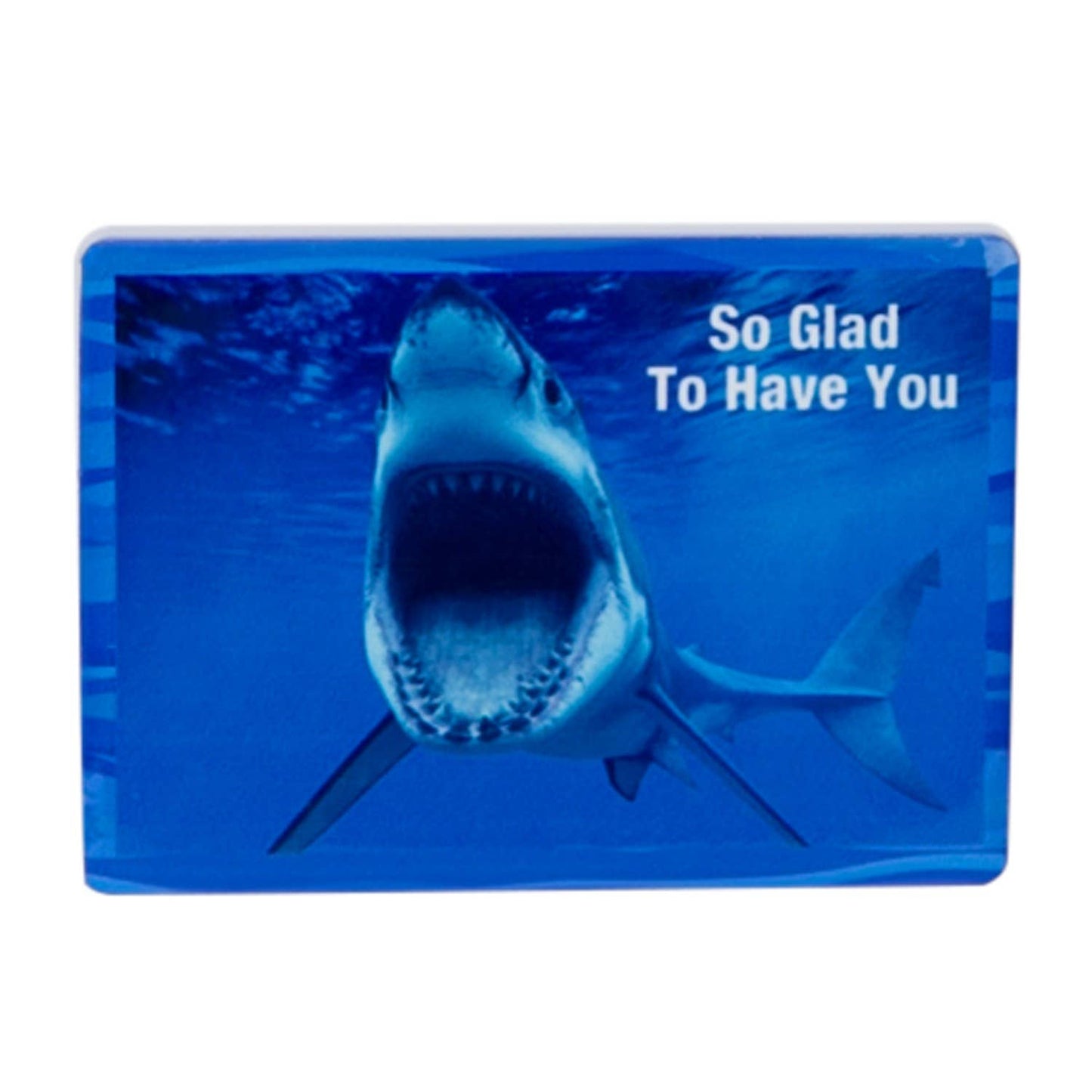 So Glad Shark Magnet