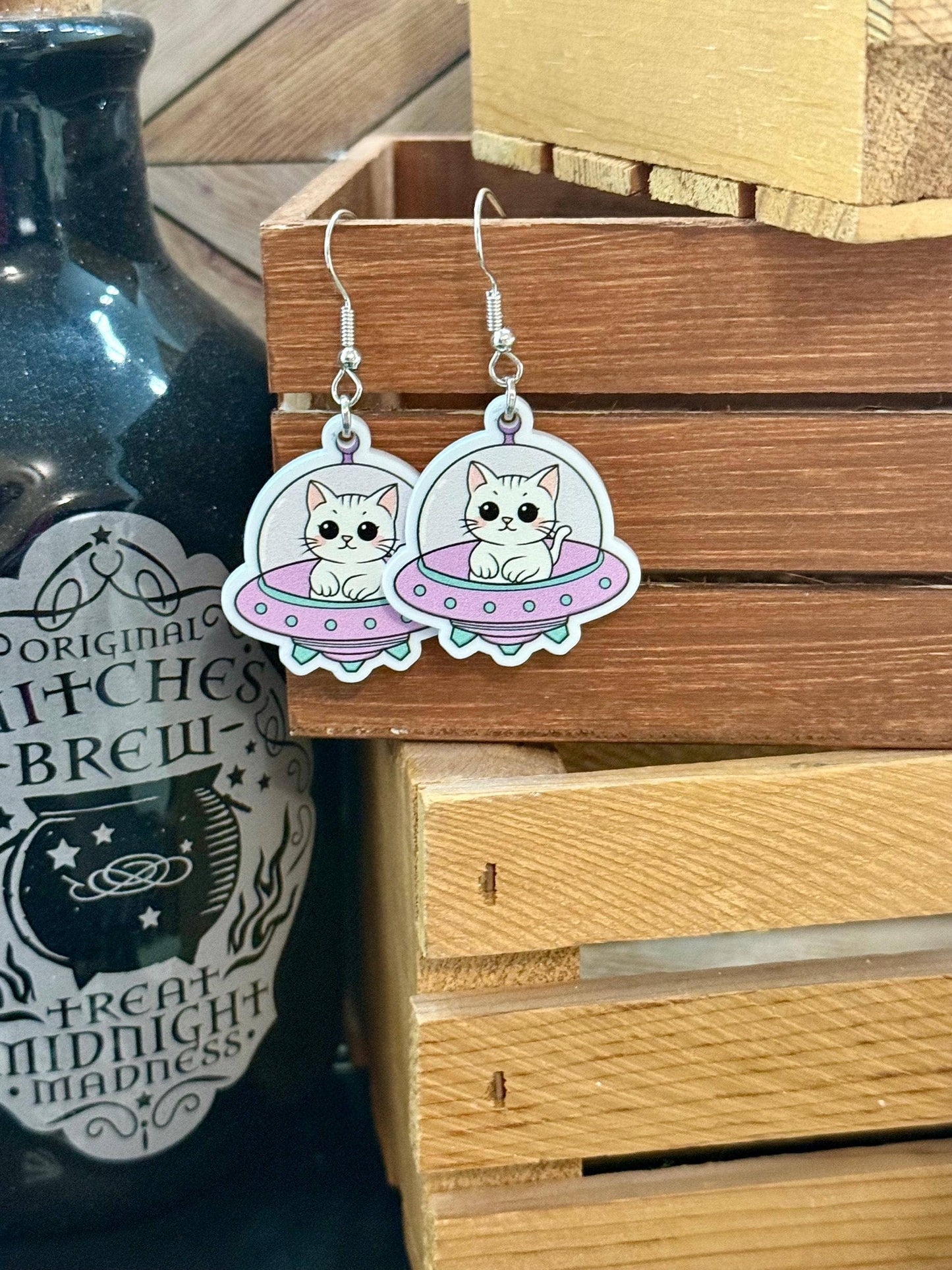 Space Cat and Spaceship Earrings for Booklovers