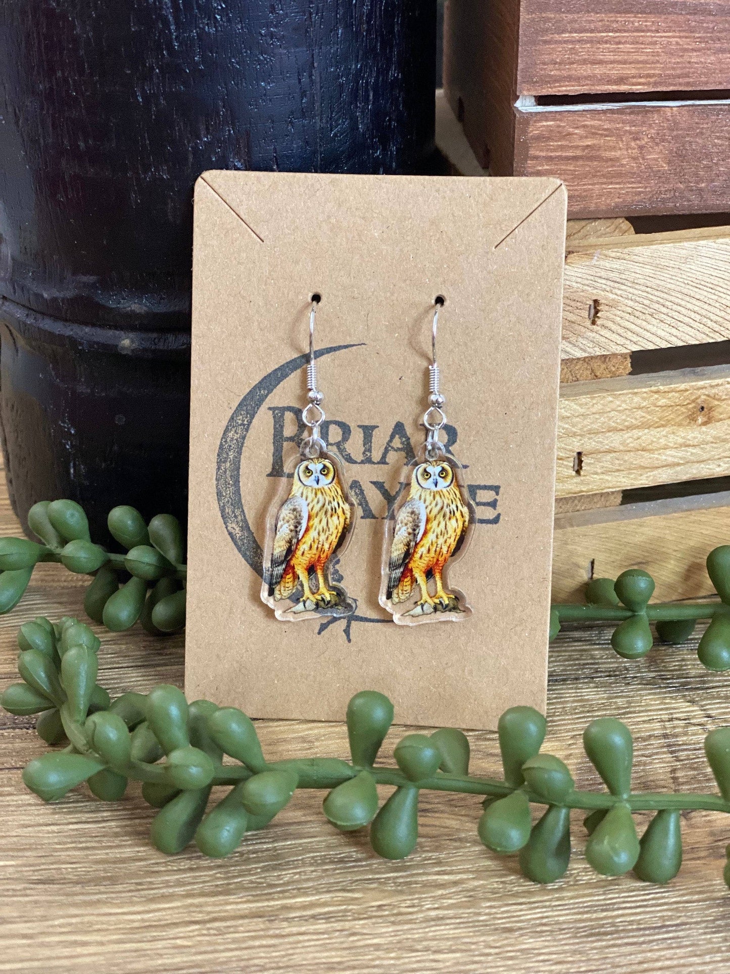 Owl Forest Sanctuary Animal Lover Earrings