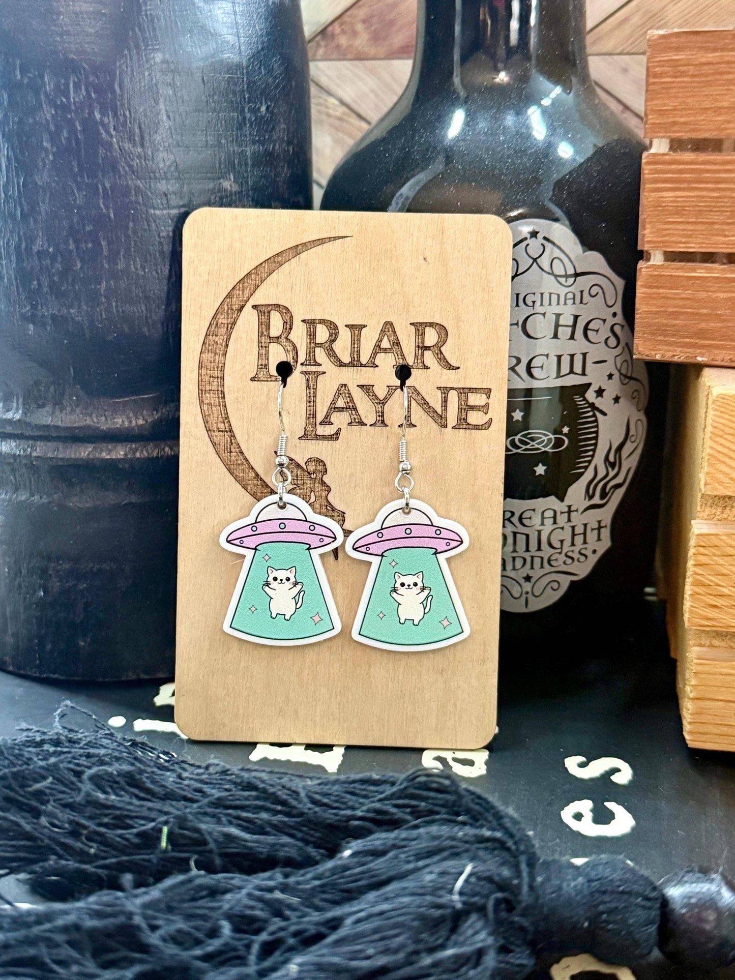 Space Cat and Spaceship Earrings for Booklovers