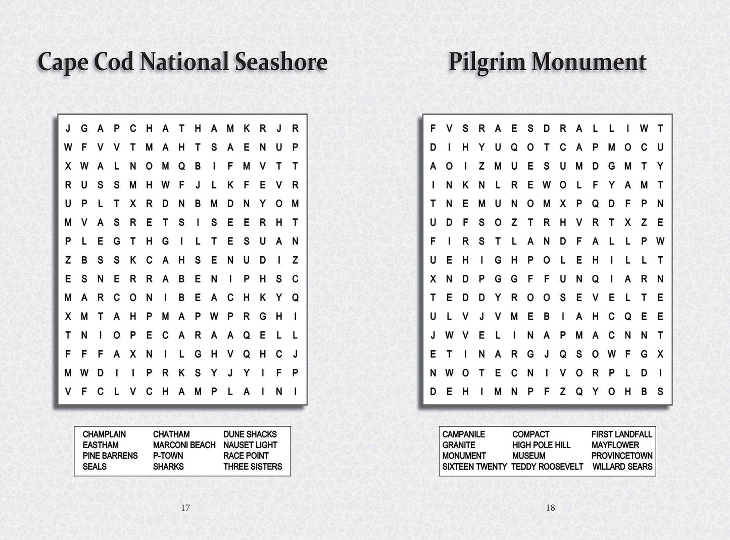 Great American New England Road Trip Puzzle Book