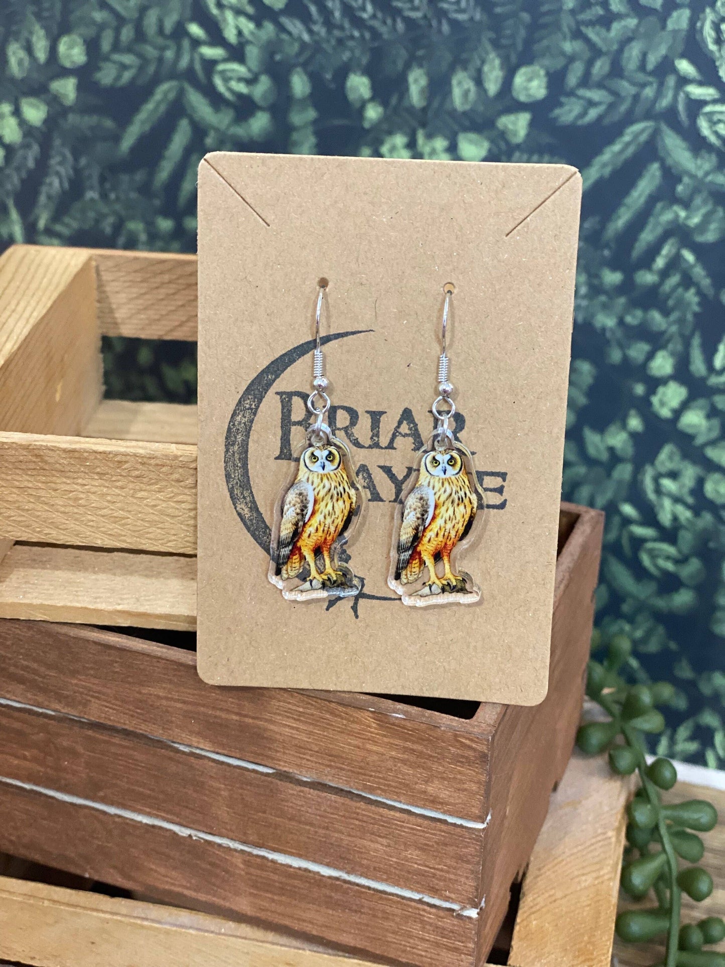 Owl Forest Sanctuary Animal Lover Earrings