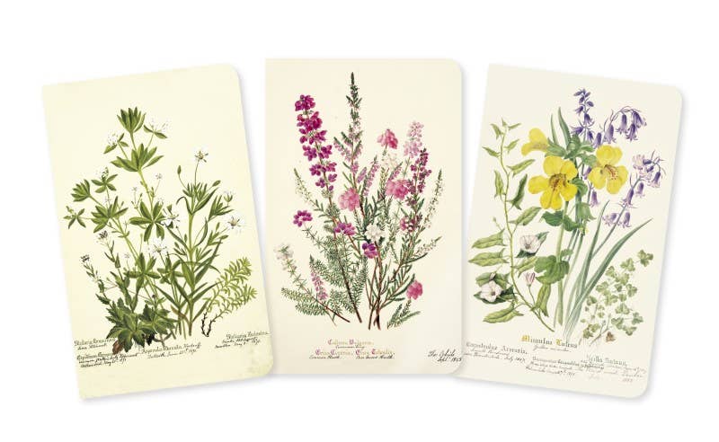 Royal Botanic Garden Edinburgh Set of 3 Mini Notebooks