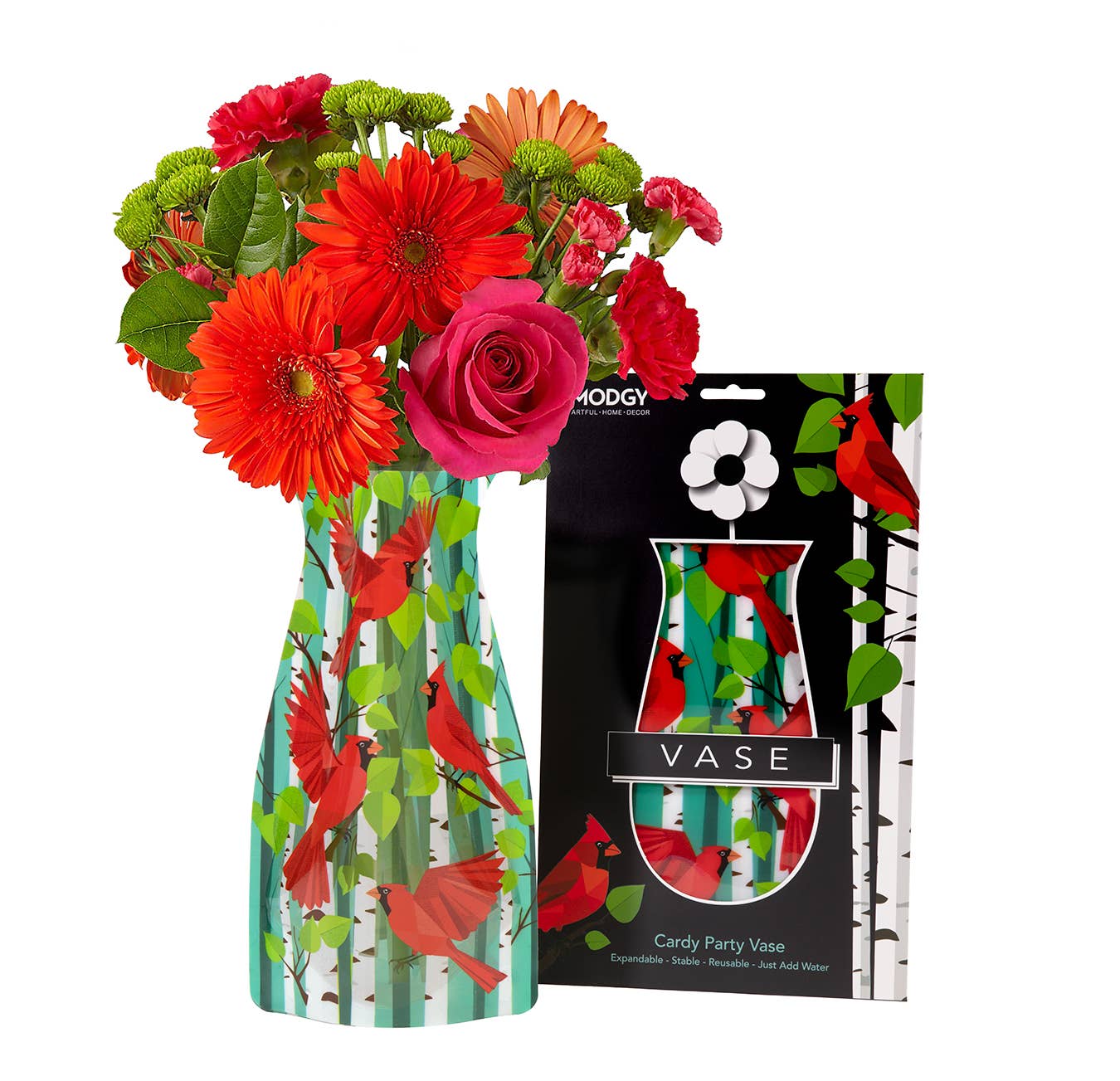 Cardy Party Expandable Vase