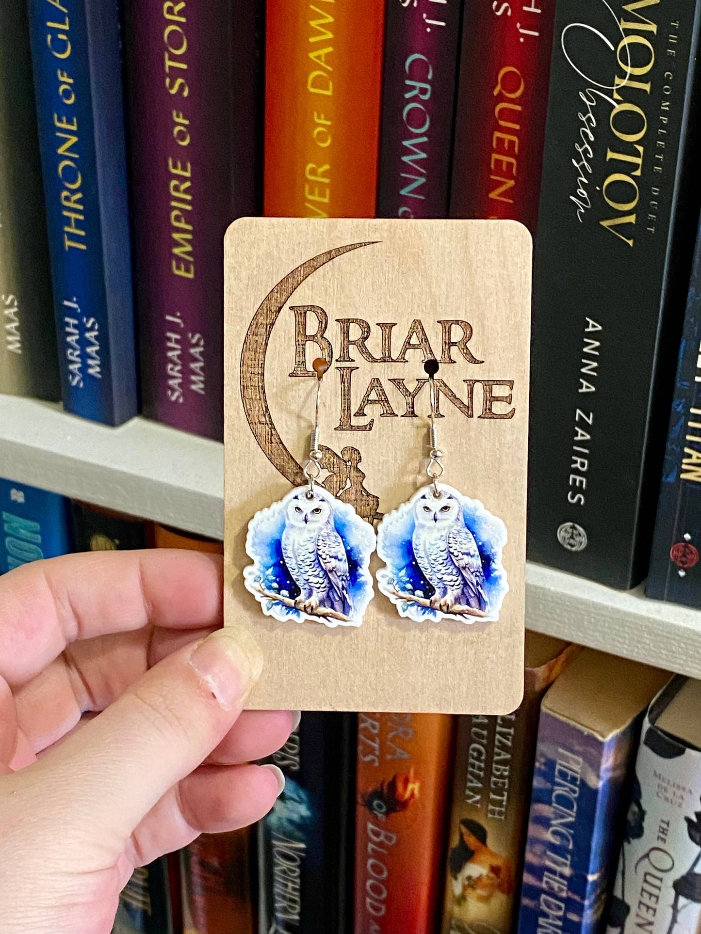 Owl Forest Snow Sanctuary Animal Jewelry Earrings