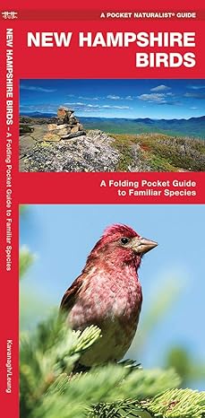 New Hampshire Birds: A Folding Pocket Guide to Familiar Species (Wildlife and Nature Identification)