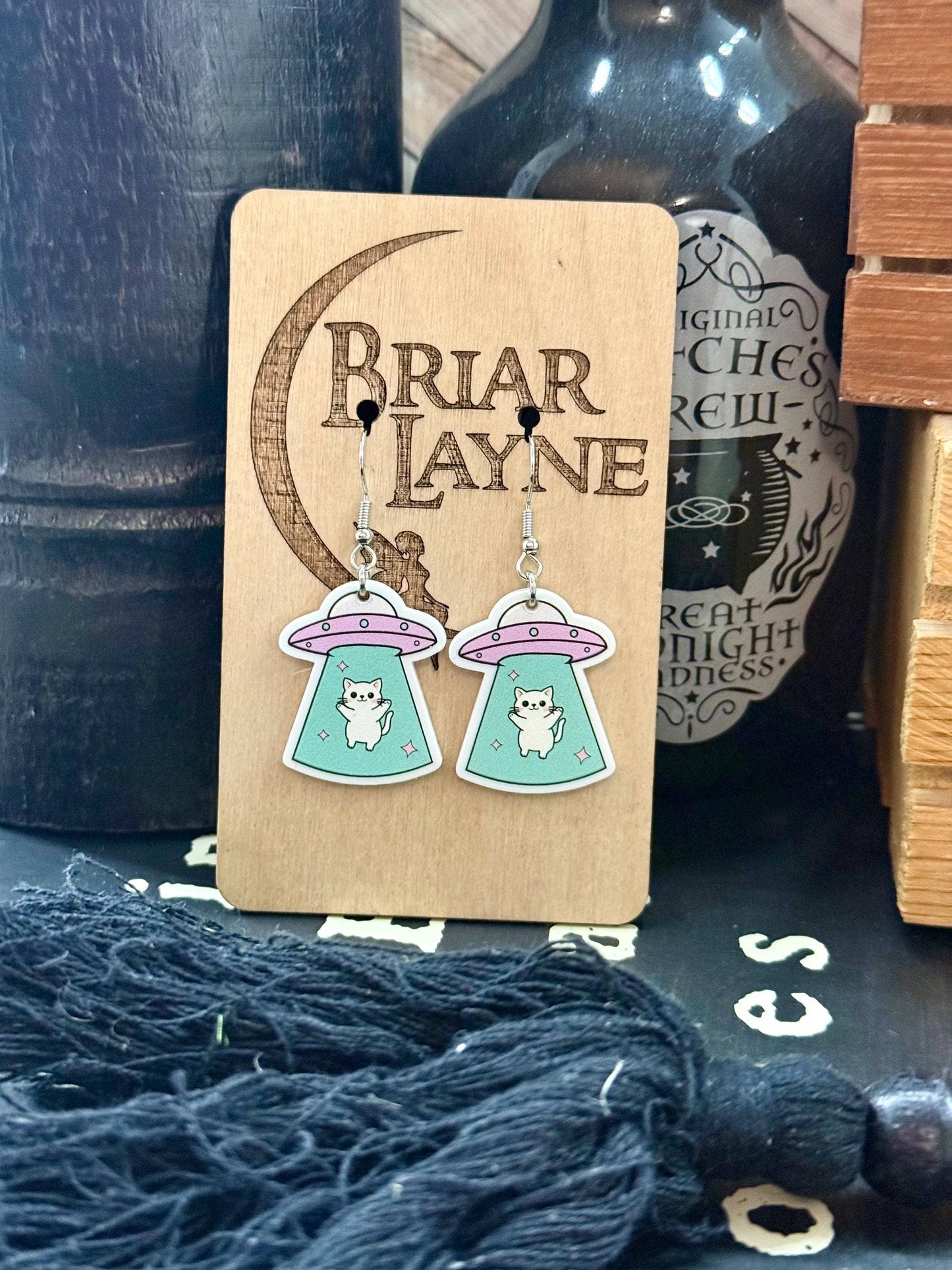 Space Cat and Spaceship Earrings for Booklovers