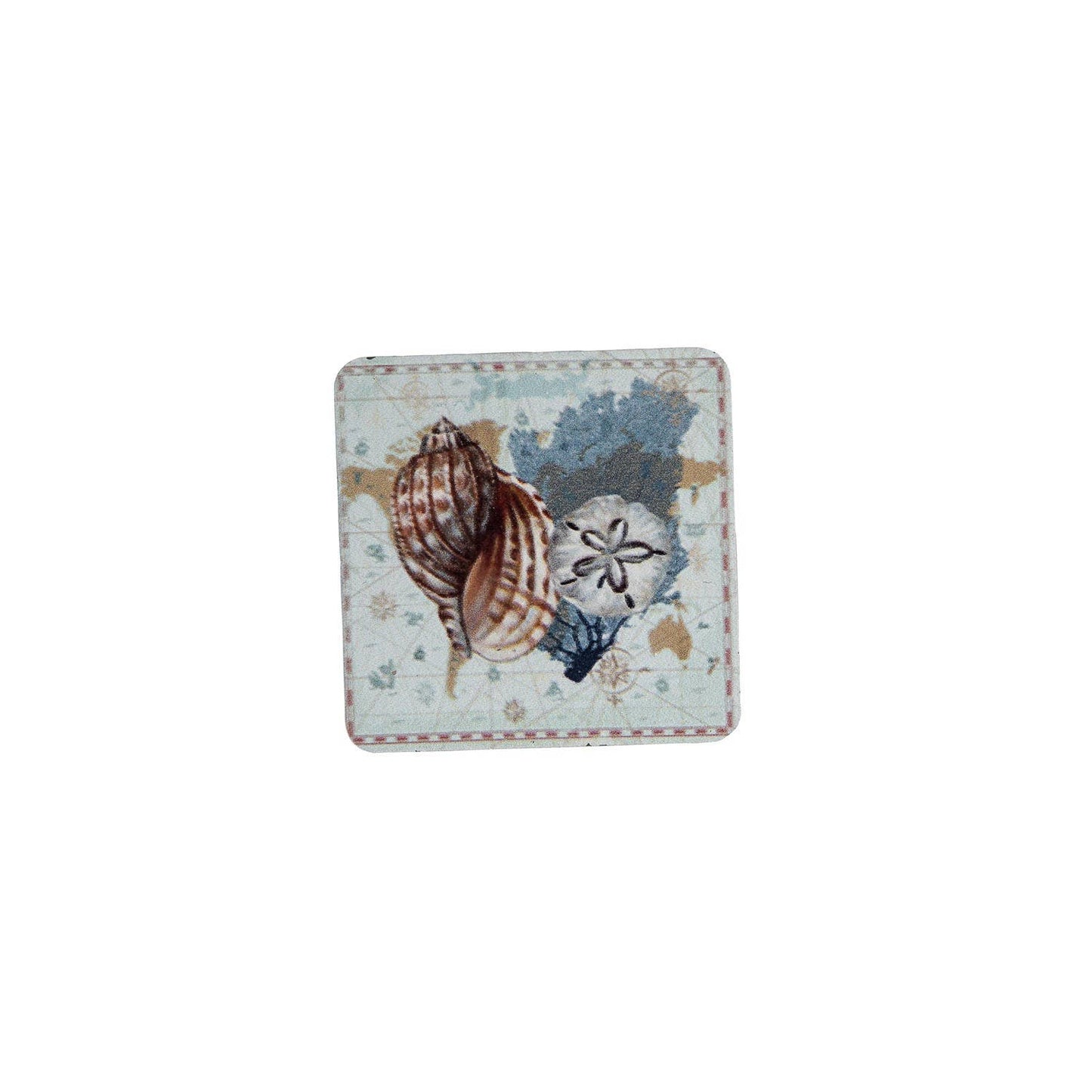 Sandollar & Shells Magnet