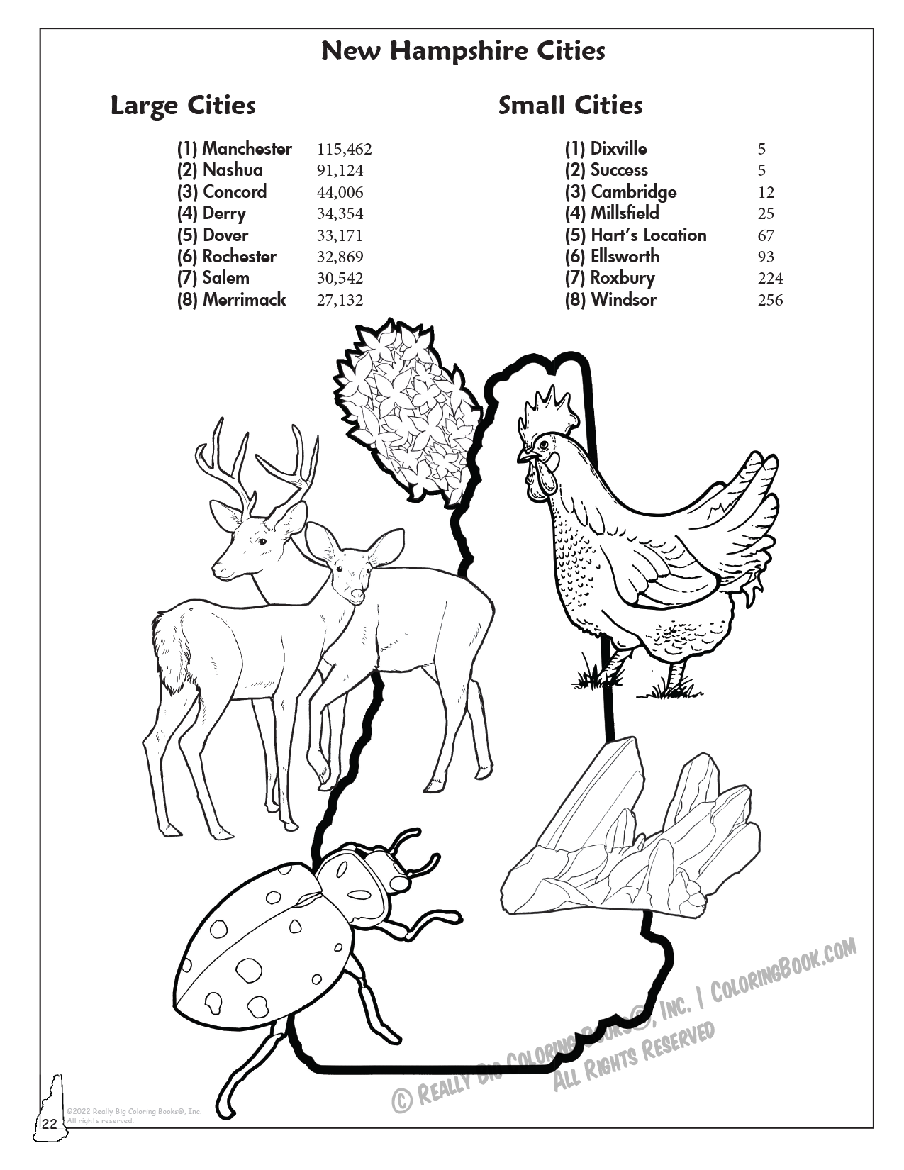 New Hampshire State Coloring Book 8.5 x 11