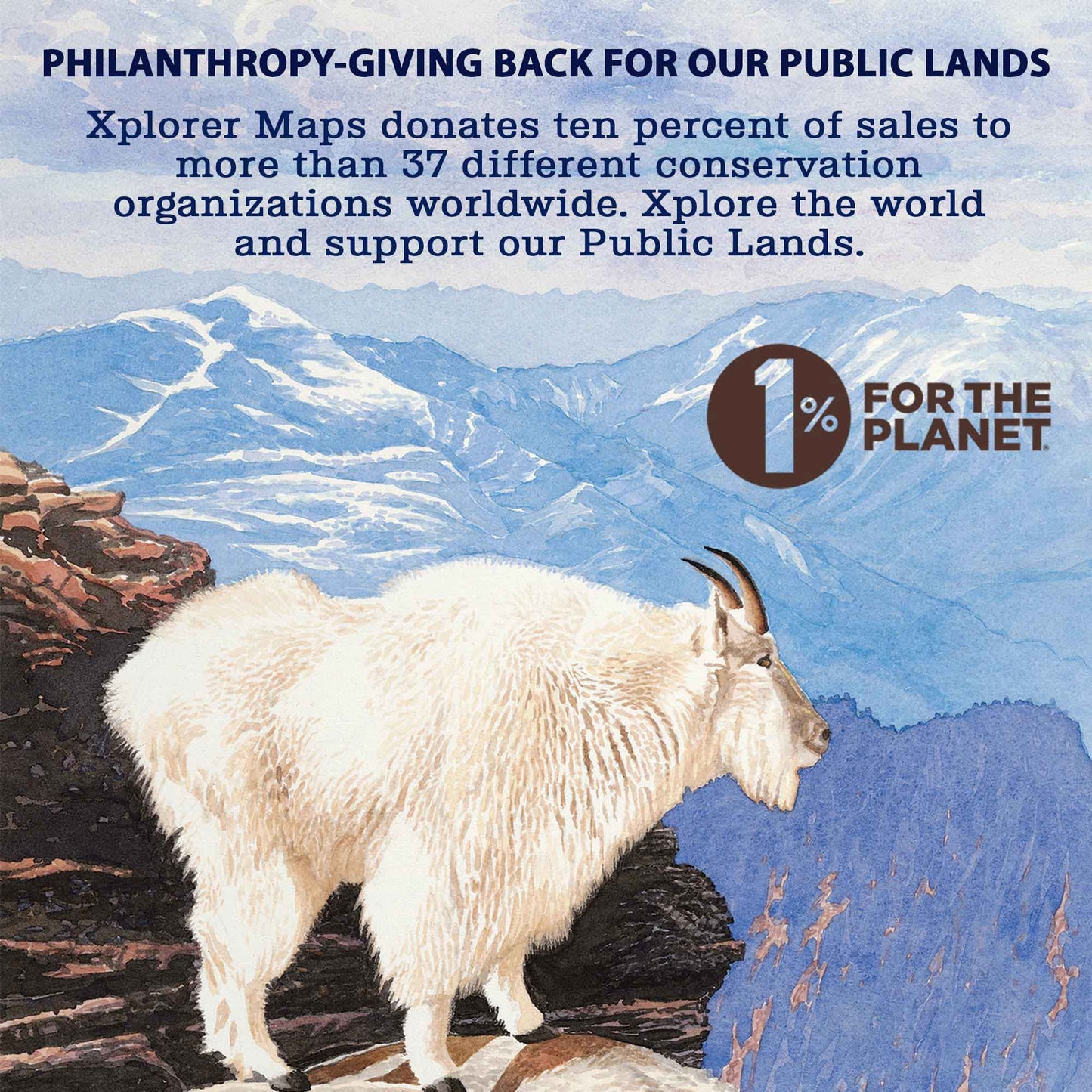 New Hampshire State Map Kitchen Towel