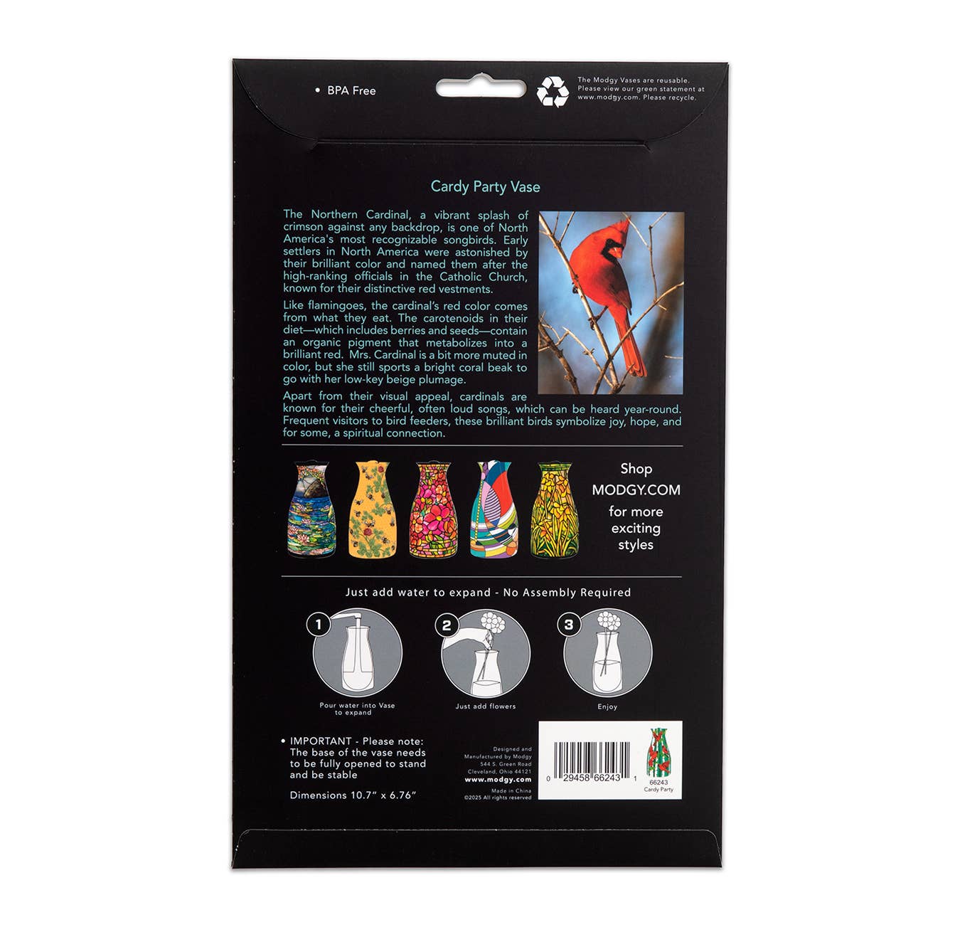 Cardy Party Expandable Vase