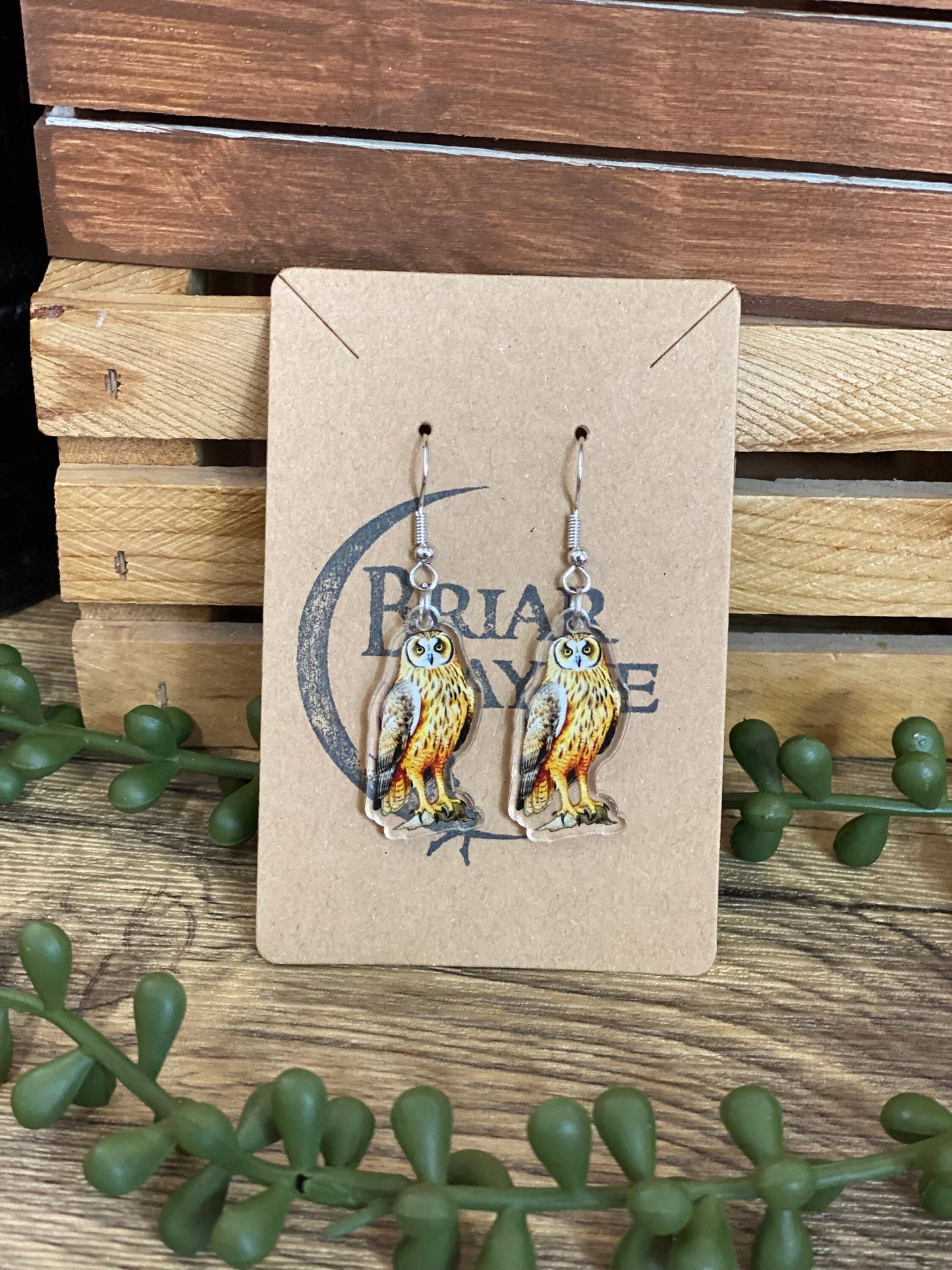 Owl Forest Sanctuary Animal Lover Earrings
