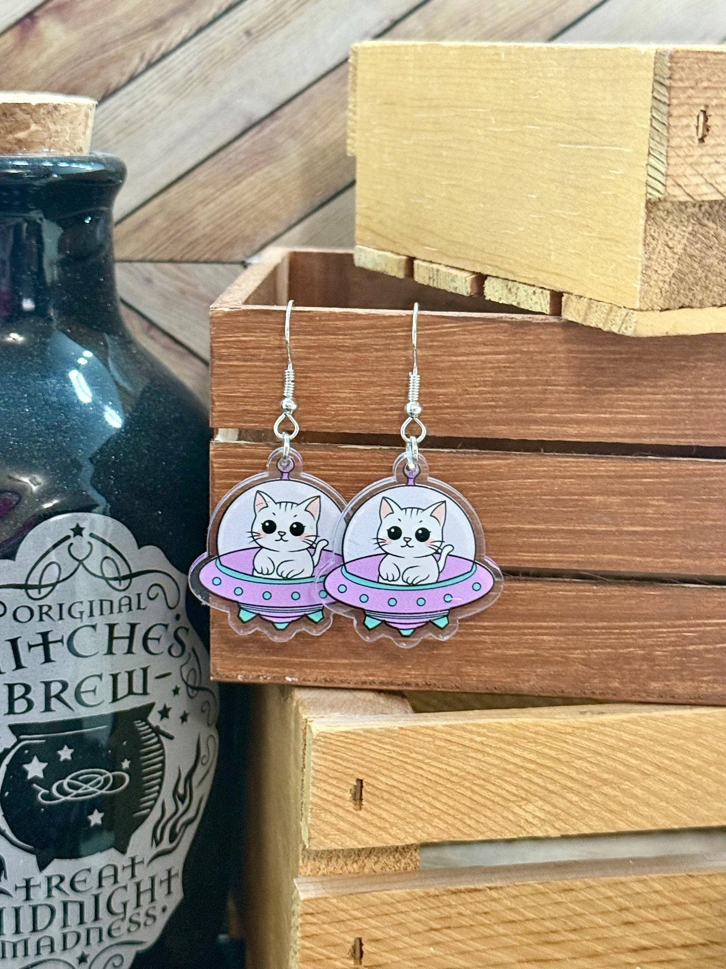 Space Cat and Spaceship Earrings for Booklovers