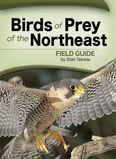 Birds Of Prey Of The Northeast Field Guide
