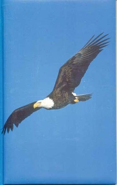 Eagle Blank Journal (unlined)