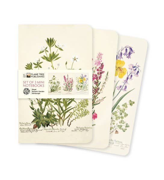 Royal Botanic Garden Edinburgh Set of 3 Mini Notebooks