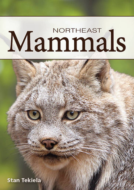 Mammals of Northeast Playing Cards