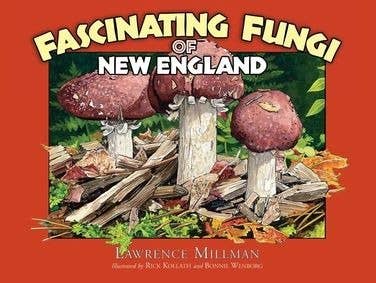 Fascinating Fungi Of New England