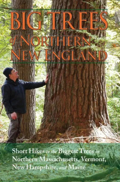 Big Trees of Northern New England by Kevin Martin