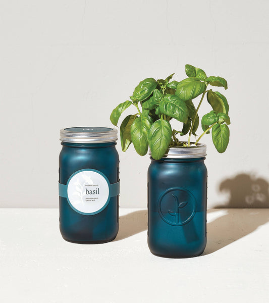 Garden Jar - Basil