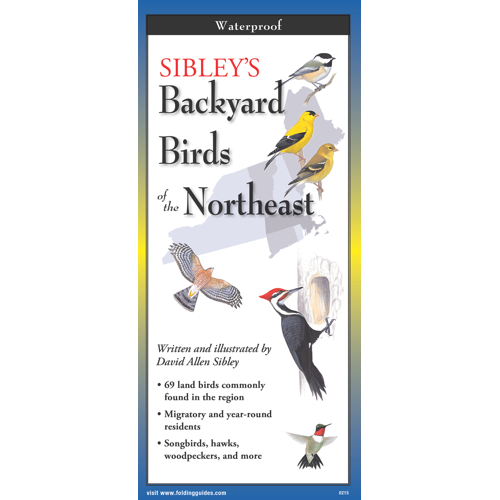 Sibley's Backyard Birds of Northeast